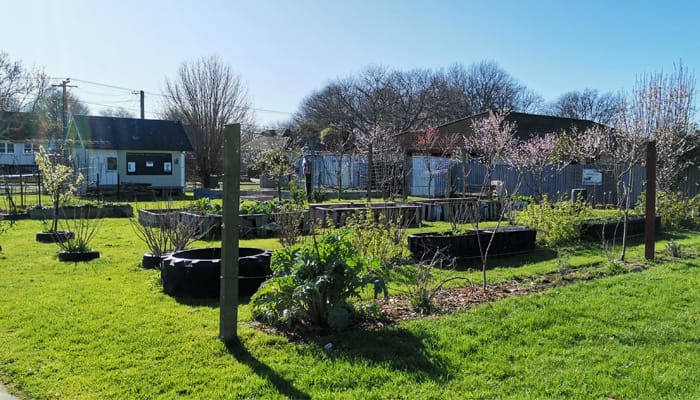 South-McFarlane-Park