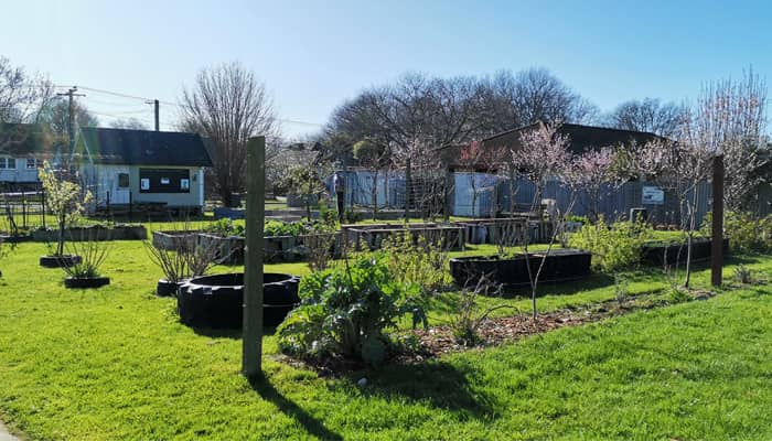 South-McFarlane-Park